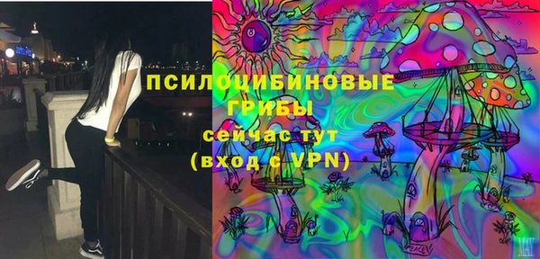 крисы Алексеевка