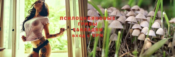 крисы Алексеевка