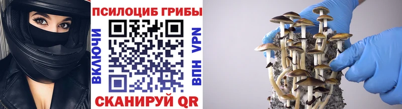 Галлюциногенные грибы прущие грибы  купить  сайты  mega вход  Апрелевка 